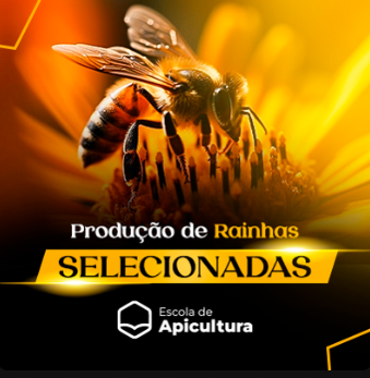 Captura de tela 2025-11-04 103646