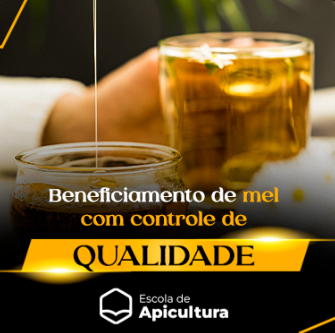 Captura de tela 2025-11-04 103701